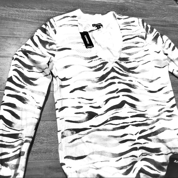 NWT Express Tiger Stripe Sweater - Picture 1 of 4